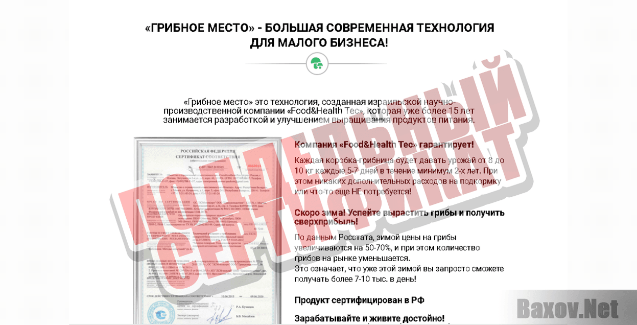 Грибное место-ЛИПОВЫЙ СЕРТИФИКАТ