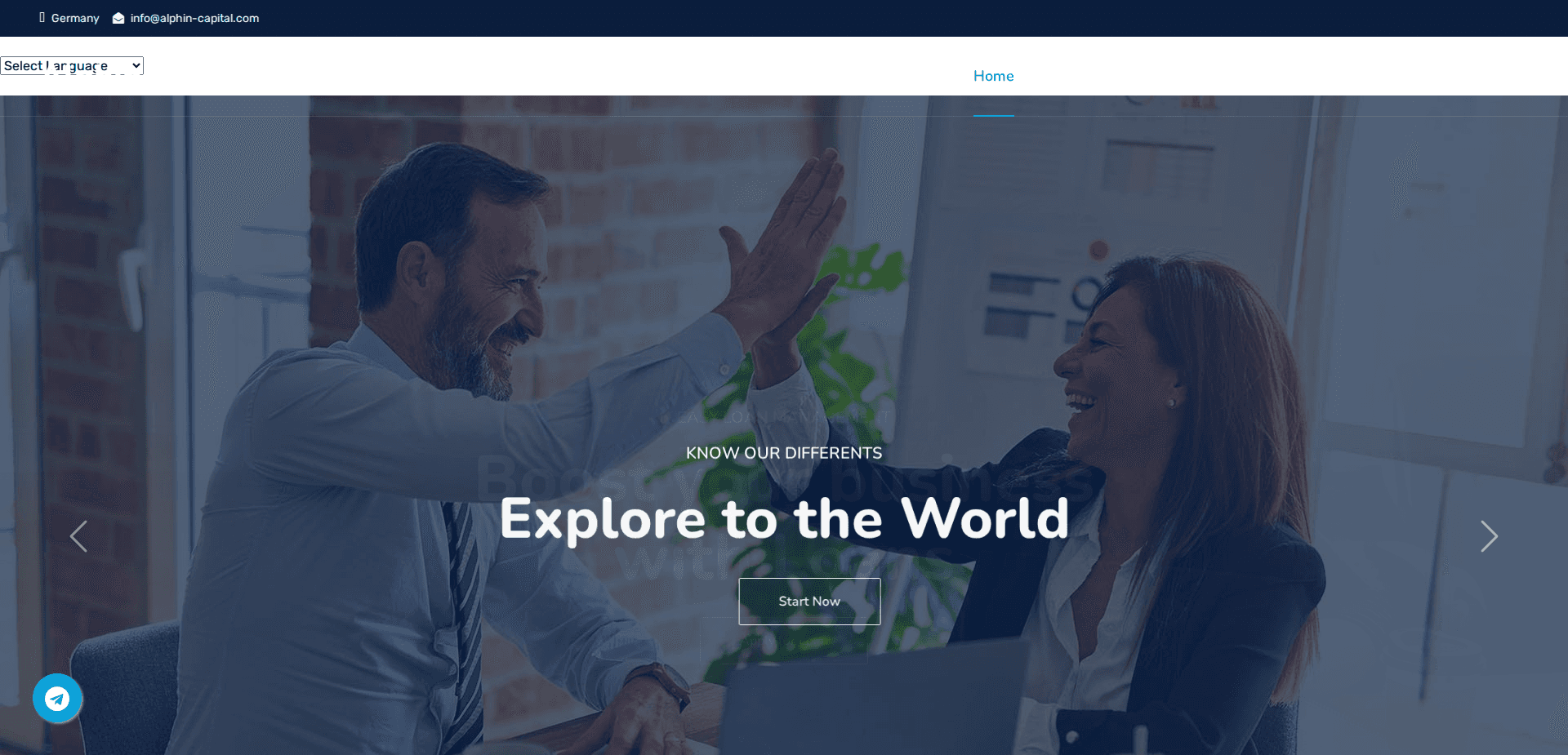 Website screenshot for https://alphins-capital.com/ - 1