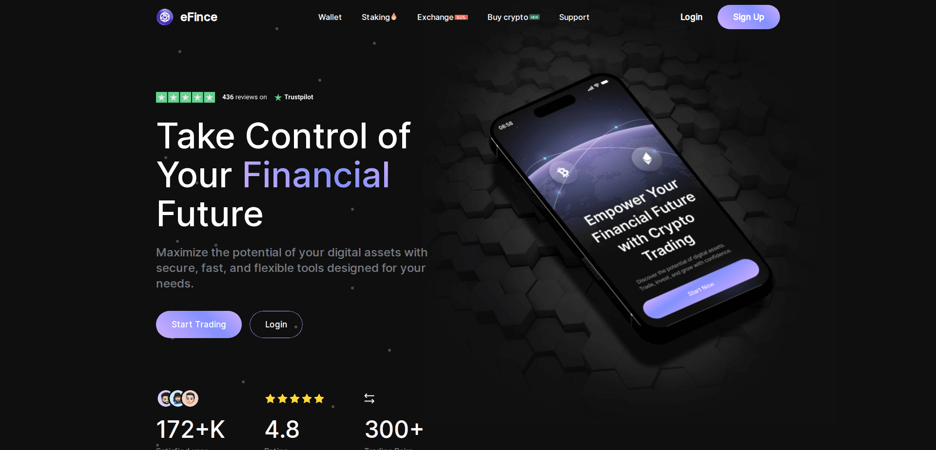 Website screenshot for https://efince.com/ - 1