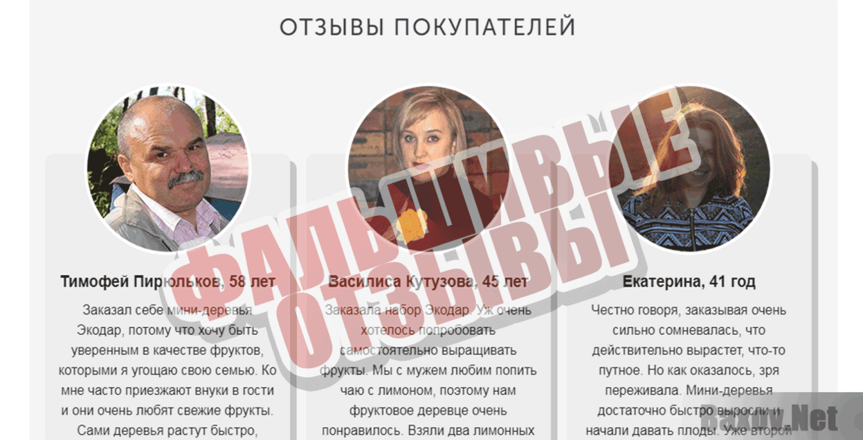 Гибридные мини-деревья ЭКОДАР Фальшивые отзывы