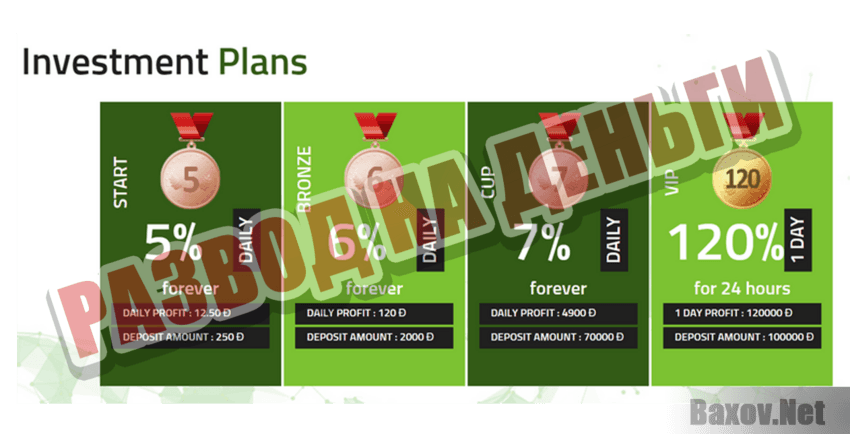 DogeScoxe LTD Развод на деньги