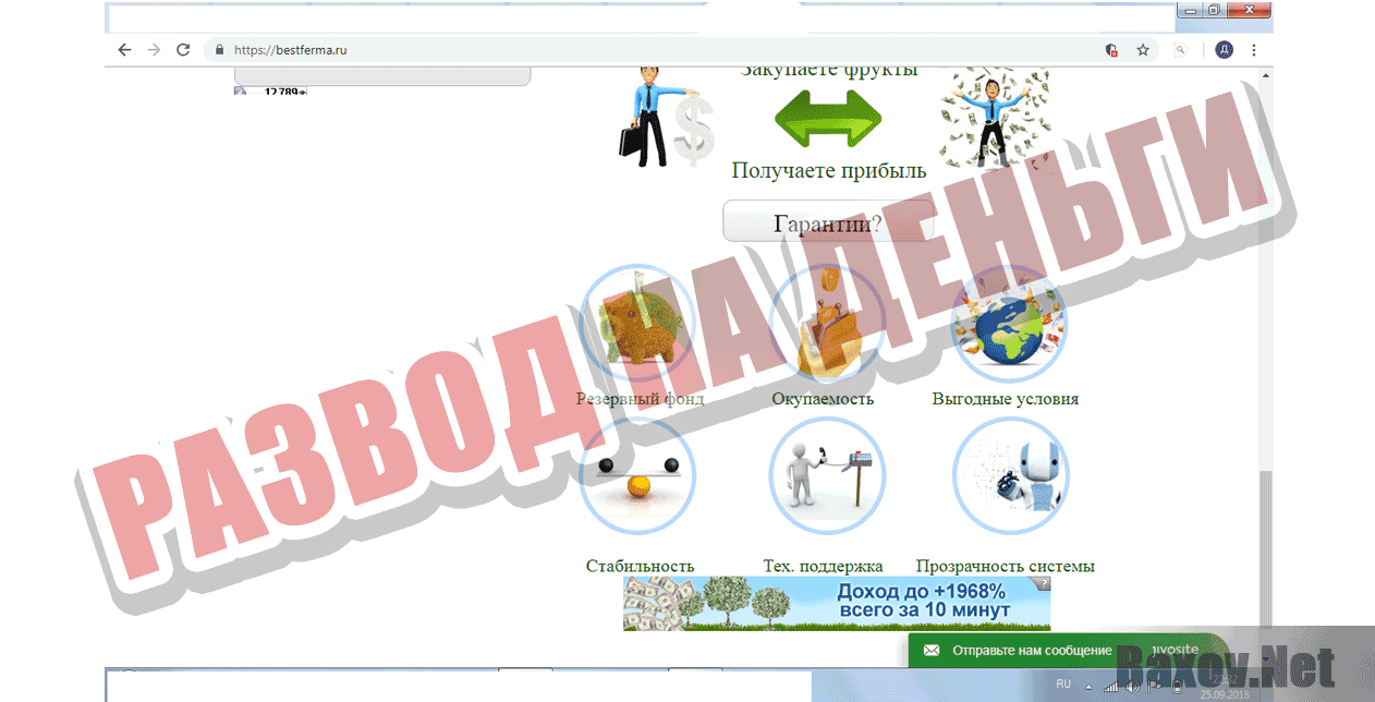 Best Ferma Развод на деньги