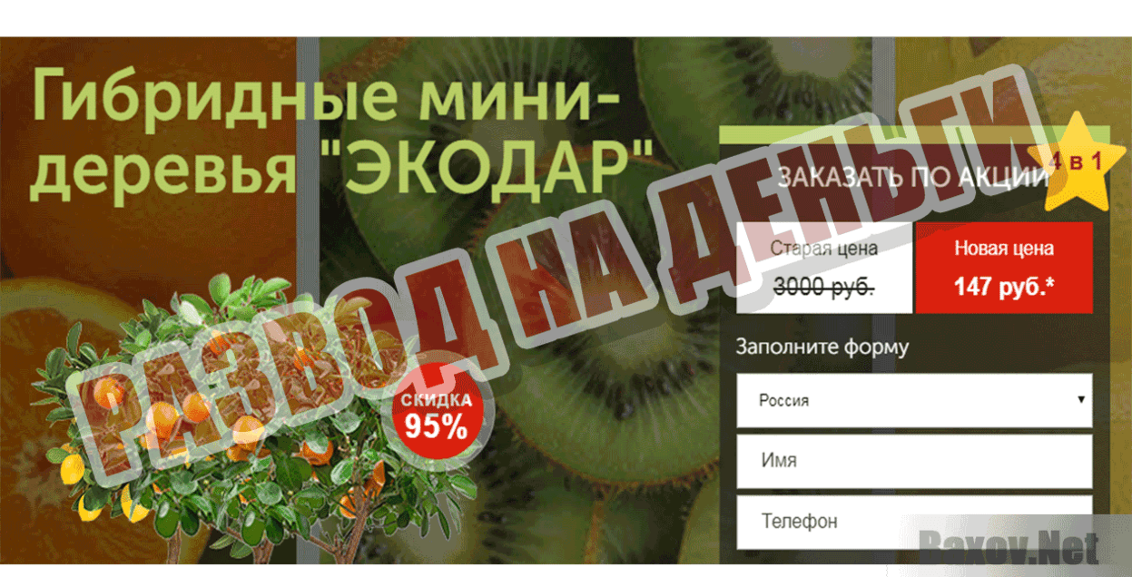 Гибридные мини-деревья ЭКОДАР Развод на деньги