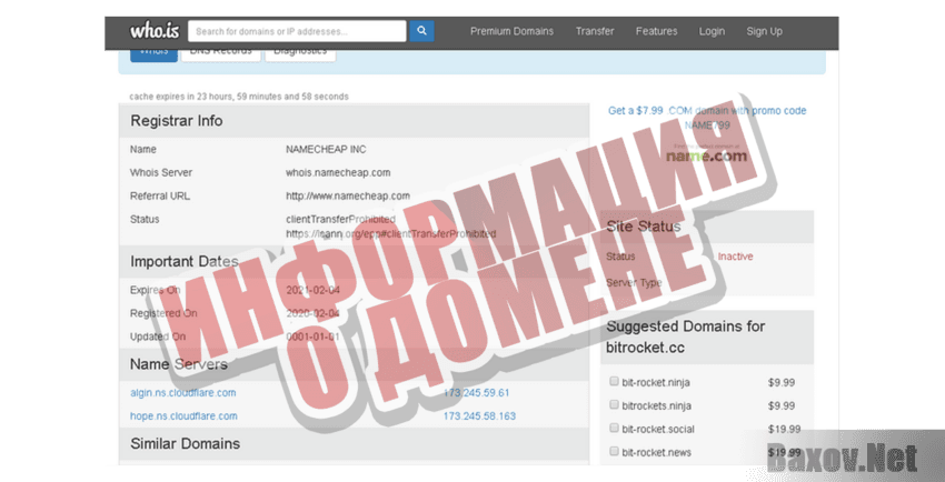 BitRocket Ltd Информация о домене
