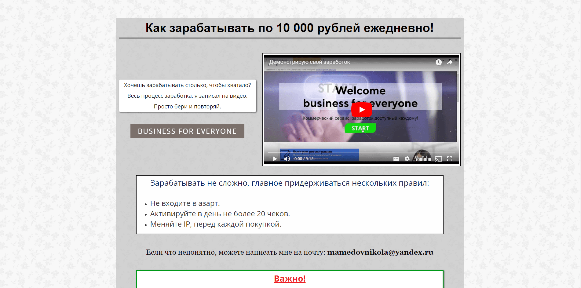 Business Check - лохотрон