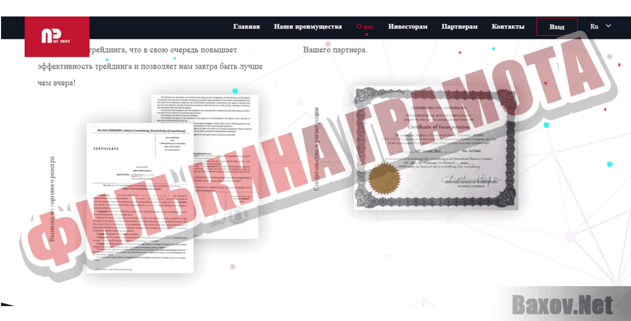 Net Profit Филькина грамота