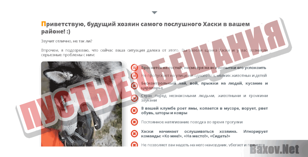 Курс дрессировки хаски Пустые обещания