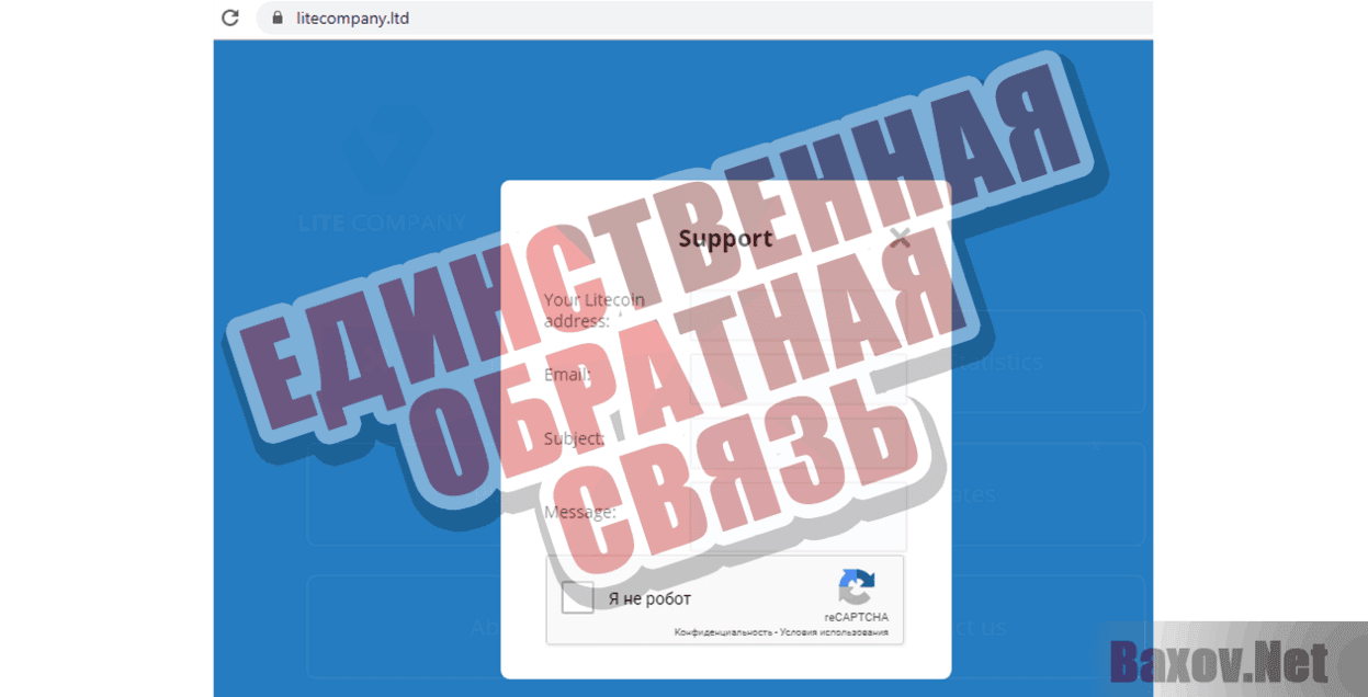 LITE COMPANY Единственная обратная связь
