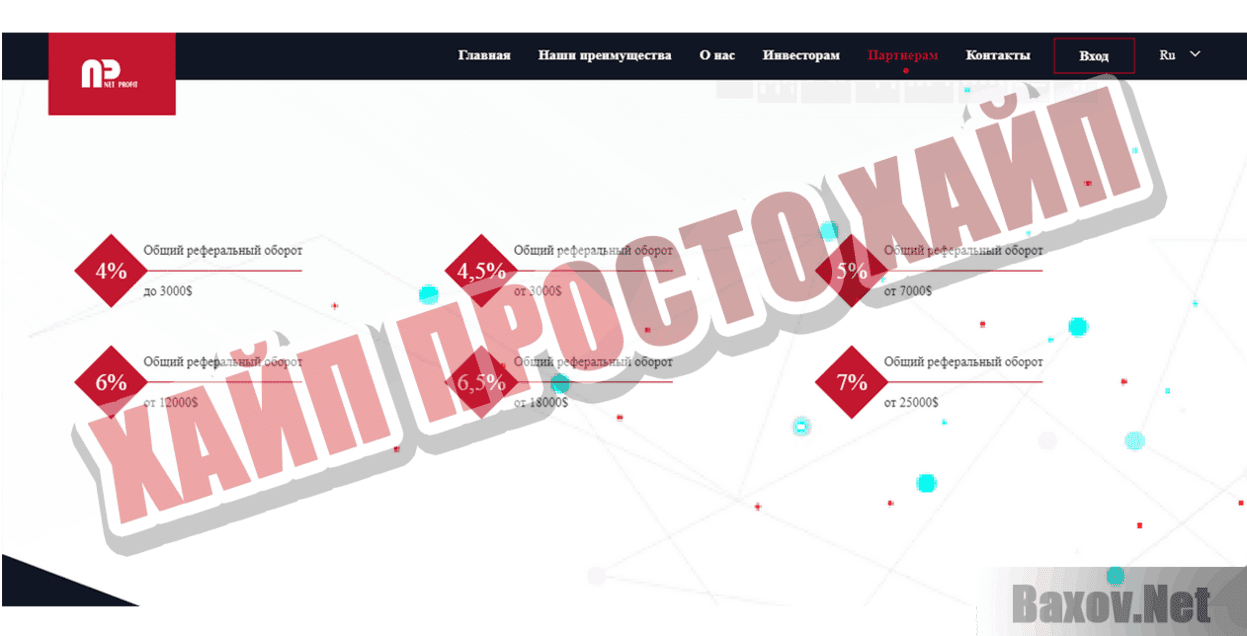Net Profit Хайп Просто хайп