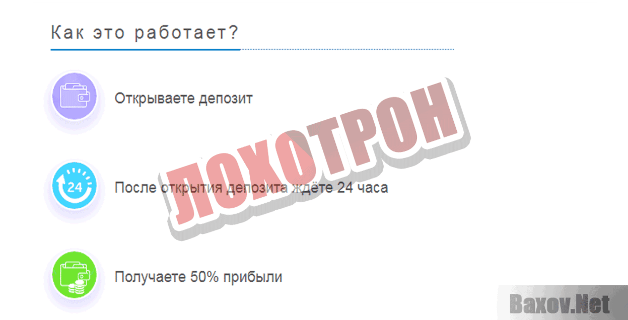 Qnegex Лохотрон