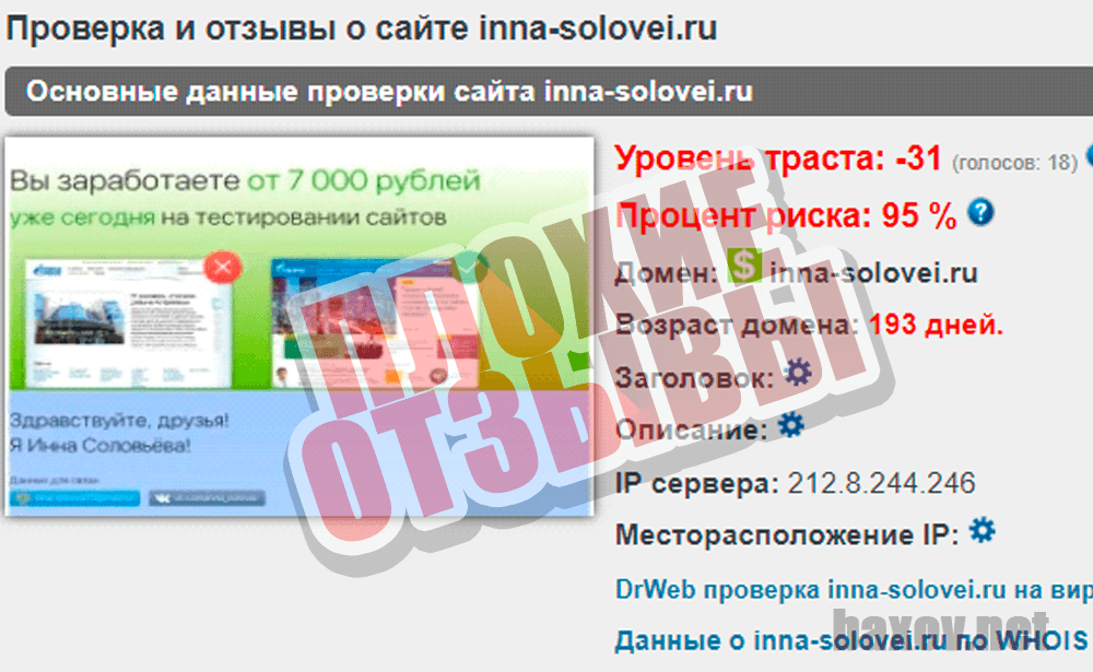 Инна Соловьева и сервис DT-Service - анализ домена проекта