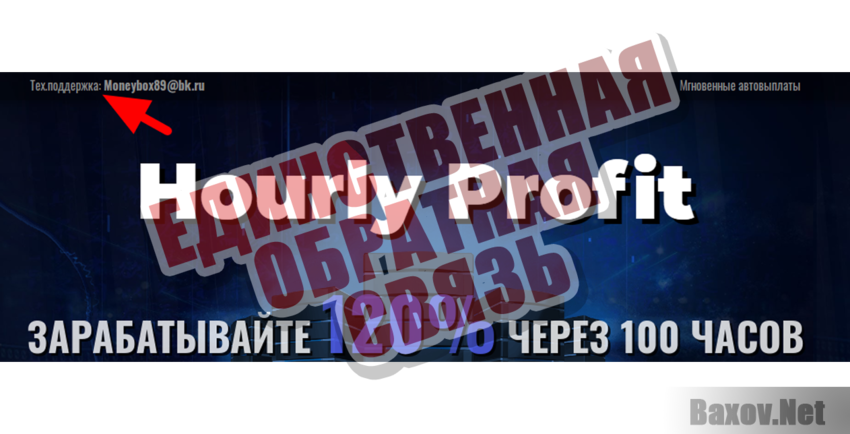 Hourly Profit Единственная обратная связь