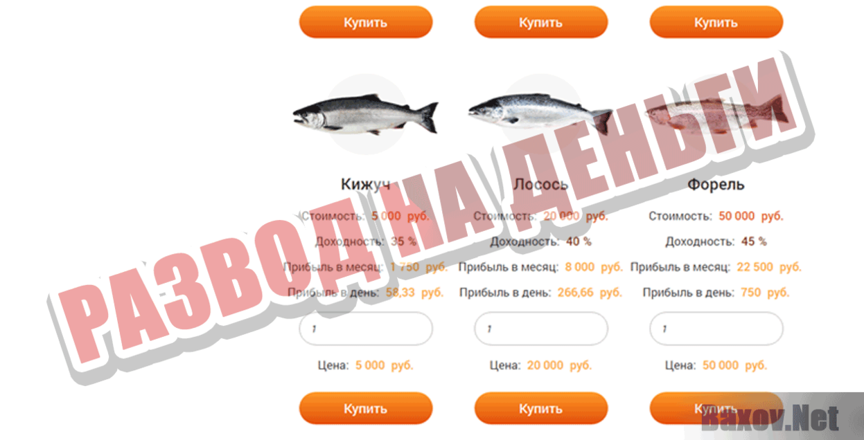 Fishing Money Развод на деньги