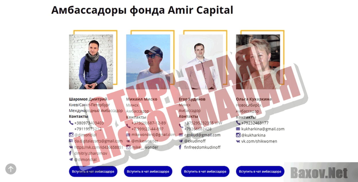 Amir Capital Открытая информация