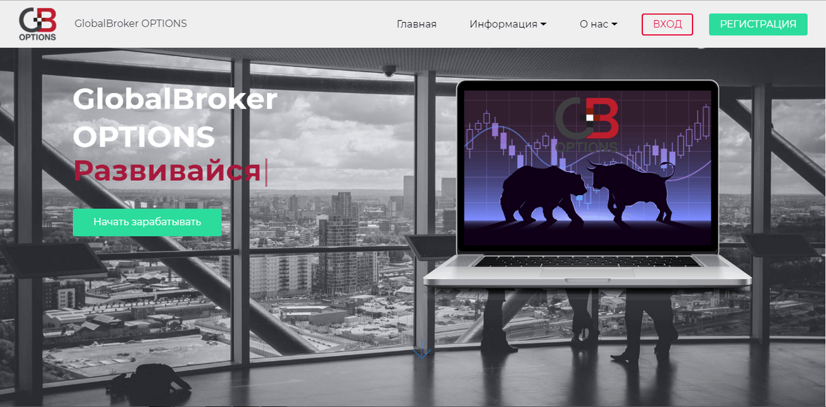 Gbs global broker solutions. "Global broker solution"+доставка. Global broker solution трек. Global broker Бишкек. Interactive options.