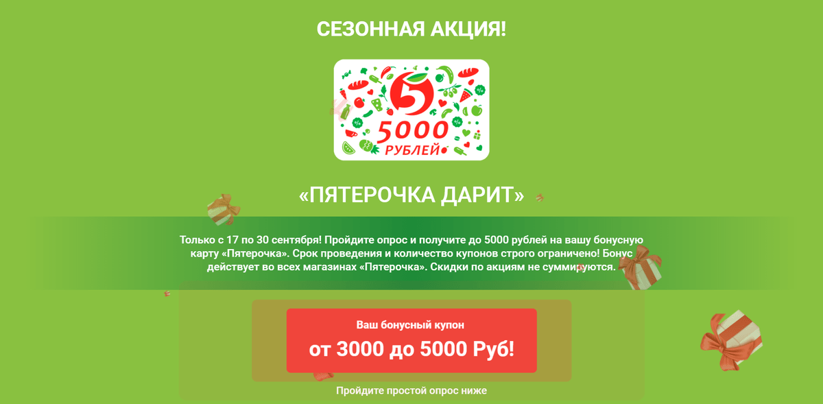 Ооо сегмент проект