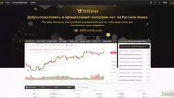 BitForex - на проверке