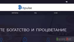 BitPulse - Лохотрон