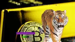 Crypto-Tiger отзывы и обзор. Развод, лохотрон или правда. Только честные и правдивые отзывы на Baxov.Net