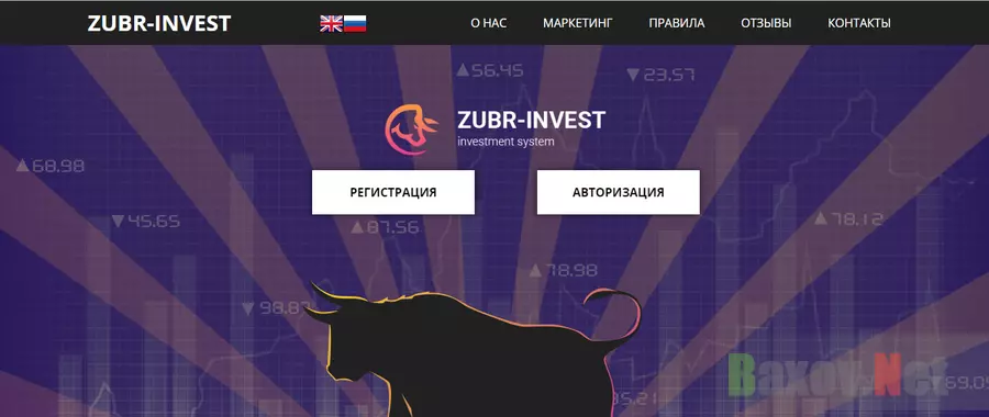 Zubr invest - Лохотрон